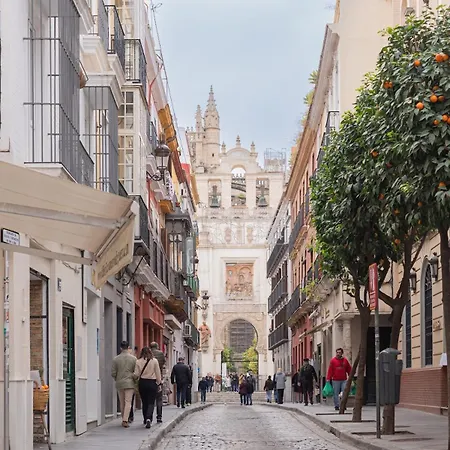 Lujoso En Casco Antiguo De 塞维利亚